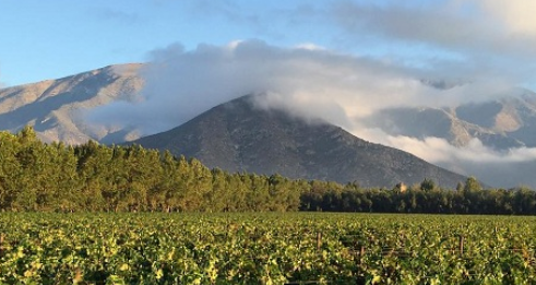 智利葡萄酒产区有怎样的变化,智利葡萄酒产地的变迁史