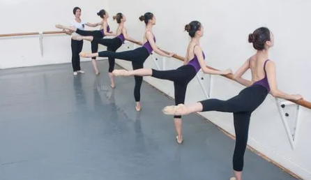 舞蹈艺术生可以报考哪些专业,舞蹈艺考生的专业选择