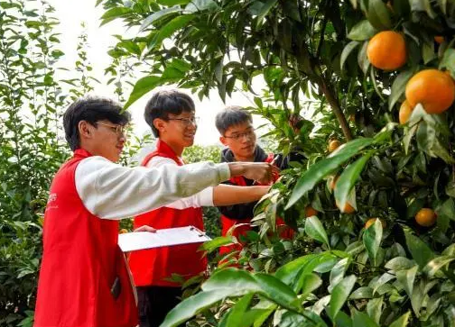 教育部发布12个新农科专业 （培养急需紧缺农林人才）