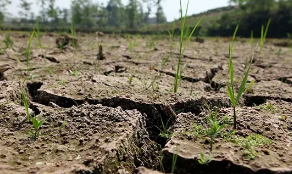 湖南全省达中度以上气象干旱 干旱预警已连续发布超一个月