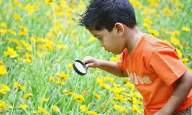 自然教育提高孩子哪些能力,自然教育给孩子带来什么