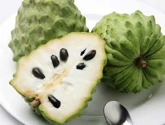 孕妇可以吃番荔枝吗(孕妇怎么吃番荔枝才好) 孕妇可以吃番荔枝吗(孕妇怎么吃番荔枝才好)