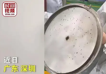 一小学厨具布满蛆虫，监管局：已责令该公司停止供餐业务