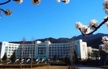 泰山学院的王牌专业是什么,泰山学院哪个专业最有名
