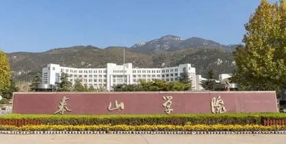 泰山学院的王牌专业是什么,泰山学院哪个专业最有名