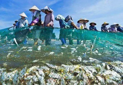 中国人吃鱼靠什么？中国渔民到底在海里捕了多少鱼？