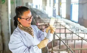 畜牧兽医是什么职称?哪些人能申评畜牧师职称 畜牧兽医是什么职称?哪些人能申评畜牧师职称