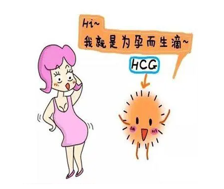 hcg多少可以确定怀孕(怀孕多少天可以通过hcg查出吗)