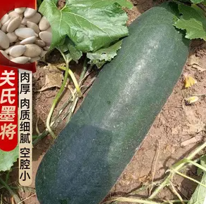 山东食物为何都是超大号？专家：大是山东特色，山东人能吃