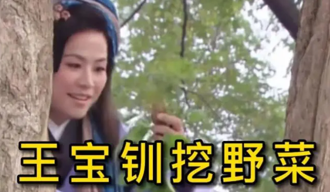 王宝钏商标已被抢注(陈浩民就玩王宝钏野菜梗道歉)