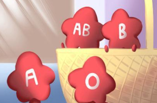 o型血和b型血会溶血吗（o型血和b型血生的孩子是什么血型）