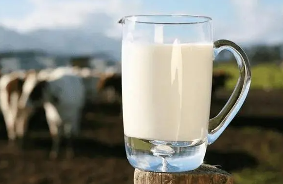 脱脂牛奶能减肥吗（脱脂牛奶的功效与作用是什么）