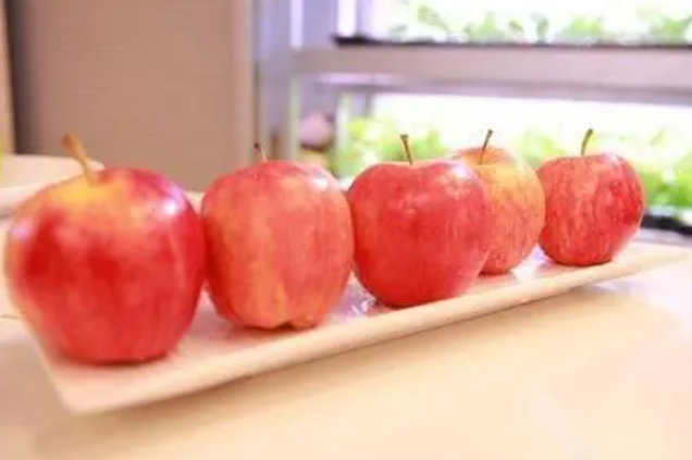 减肥吃苹果可以吗（减肥吃苹果是饭前吃还是饭后吃）