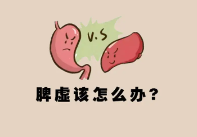 人为什么会脾虚呢？导致脾虚的原因有哪些？