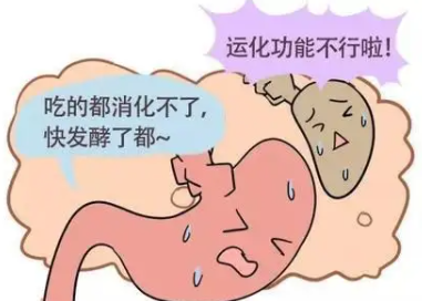 人为什么会脾虚呢？导致脾虚的原因有哪些？