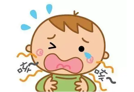 宝宝咳嗽体虚可以吃虎乳菌吗(小儿止咳虎乳菌食谱推荐) 宝宝咳嗽体虚可以吃虎乳菌吗(小儿止咳虎乳菌食谱推荐)