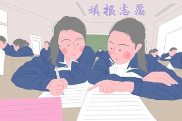 高考志愿补录有哪些技巧,高考志愿补录注意事项