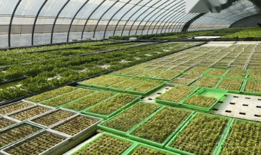 植物生产类哪个专业好,植物生产类专业的就业方向