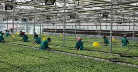 植物生产类哪个专业好,植物生产类专业的就业方向