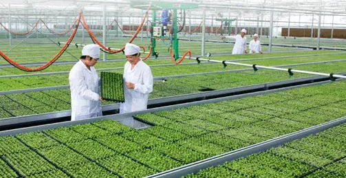 绿色食品生产技术冷门吗,绿色食品专业好不好