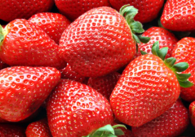 丹东草莓四天时间降幅近30%？由13.9元/斤跌至9.9元/斤