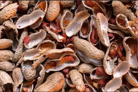 便秘频繁可以吃花生壳通便吗?花生壳的功效及食用方法