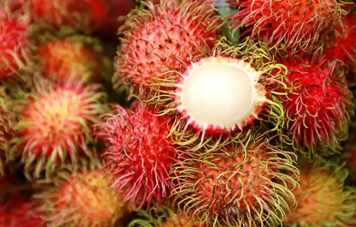 红毛丹是上火还是降火的(红毛丹食用的注意事项)