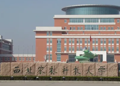 有哪些适合捡漏的985学校？介绍几所985实力院校，比211院校还低