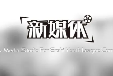 2021届有3.9%从事媒体/出版职业类，相比2017比例（4.2%）略有下降