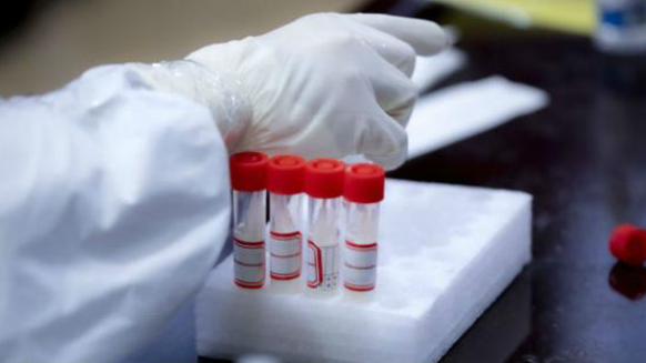 11月以来已累计报告25.3万例感染者，当前全国疫情形势如何