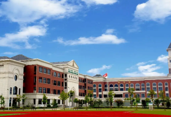 为什么把国际学校和职业学校进行比较？二者能否成为最强CP？
