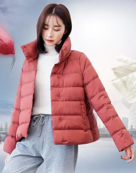 最新全国羽绒服预警地图来了(2025年哪些地方需要羽绒服护体)