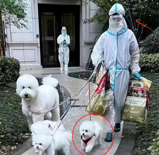 李佳琦阳性致小区封控?居委会辟谣:确诊病例不是李佳琦