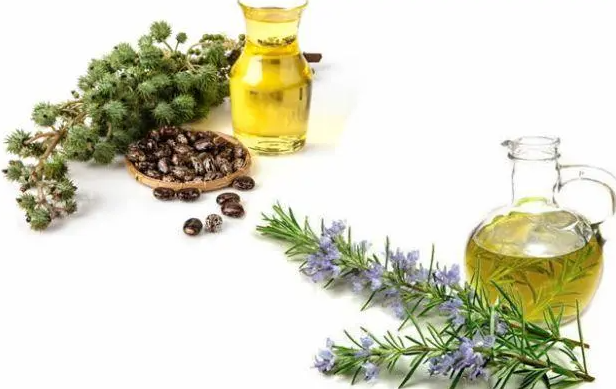 经期可以用蓖麻油护发素吗?蓖麻油护发素用了会痛经吗? 经期可以用蓖麻油护发素吗?蓖麻油护发素用了会痛经吗?