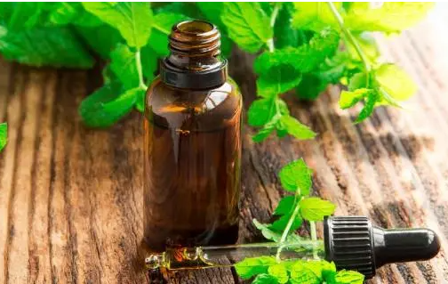 经期可以用蓖麻油护发素吗?蓖麻油护发素用了会痛经吗? 经期可以用蓖麻油护发素吗?蓖麻油护发素用了会痛经吗?