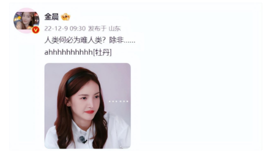 模仿卡塔尔小王子被骂无知 金晨回应再引风波