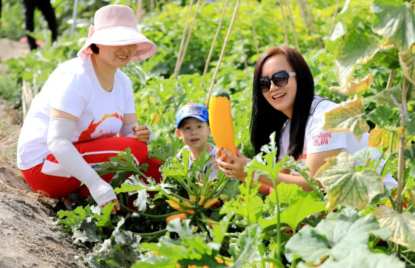 农村家庭办厂加盟项目有哪些?应该怎么选才好? 农村家庭办厂加盟项目有哪些?应该怎么选才好?