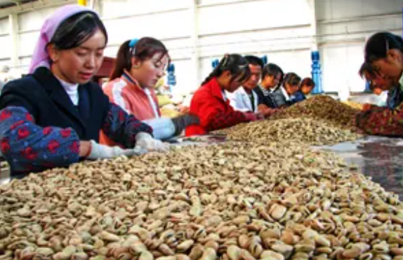 农村家庭办厂加盟项目有哪些?应该怎么选才好? 农村家庭办厂加盟项目有哪些?应该怎么选才好?