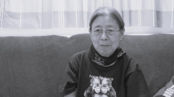 香港知名作家西西逝世(作家西西有哪些代表作)