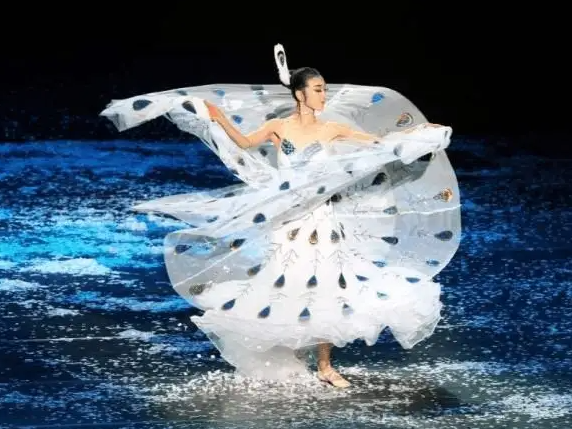 杨丽萍感染新冠坚持演出引热议(网友担心她传染给观众)