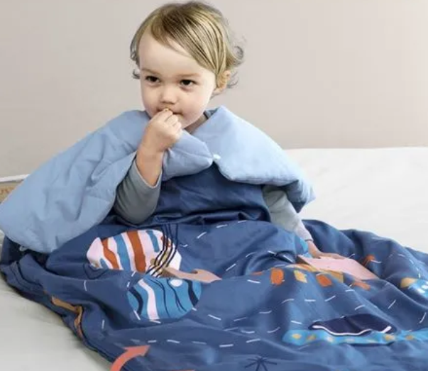 冬夜要为新生儿配置睡袋吗(秋冬刚出生宝宝的睡袋怎么选2024) 冬夜要为新生儿配置睡袋吗(秋冬刚出生宝宝的睡袋怎么选2024)