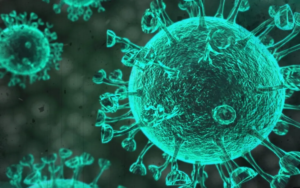 a型流感是什么病毒,a型流感和b型流感有什么区别