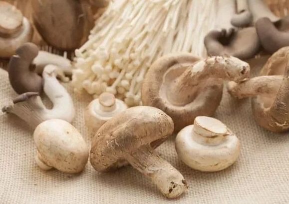 菌菇类食物重金属超标吗?怎么吃菌菇类安全又有营养?