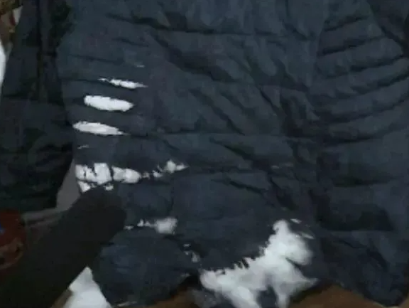羽绒服炸裂绒毛飘满地铁车厢(坐地铁羽绒服为啥会炸开)