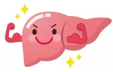 养肝吃什么好？吃猪肝注意这四点