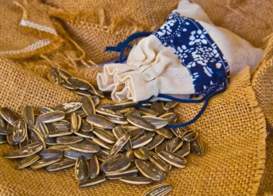 过年嗑瓜子为啥停不下来(2026过年嗑瓜子小心“瓜子病”) 过年嗑瓜子为啥停不下来(2026过年嗑瓜子小心“瓜子病”)