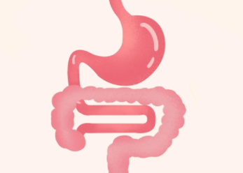 肠胃不好如何调理呢？日常调理肠胃的方法