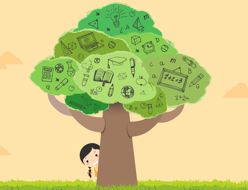 幼儿教育专业知识包括什么(幼儿教育专业知识包括什么内容)