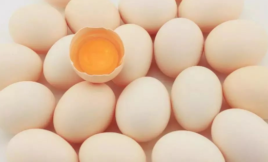白皮鸡蛋和红皮鸡蛋的区别有哪些