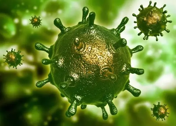 马尔堡病毒病再现非洲!马尔堡病毒症状、感染途径和如何预防?